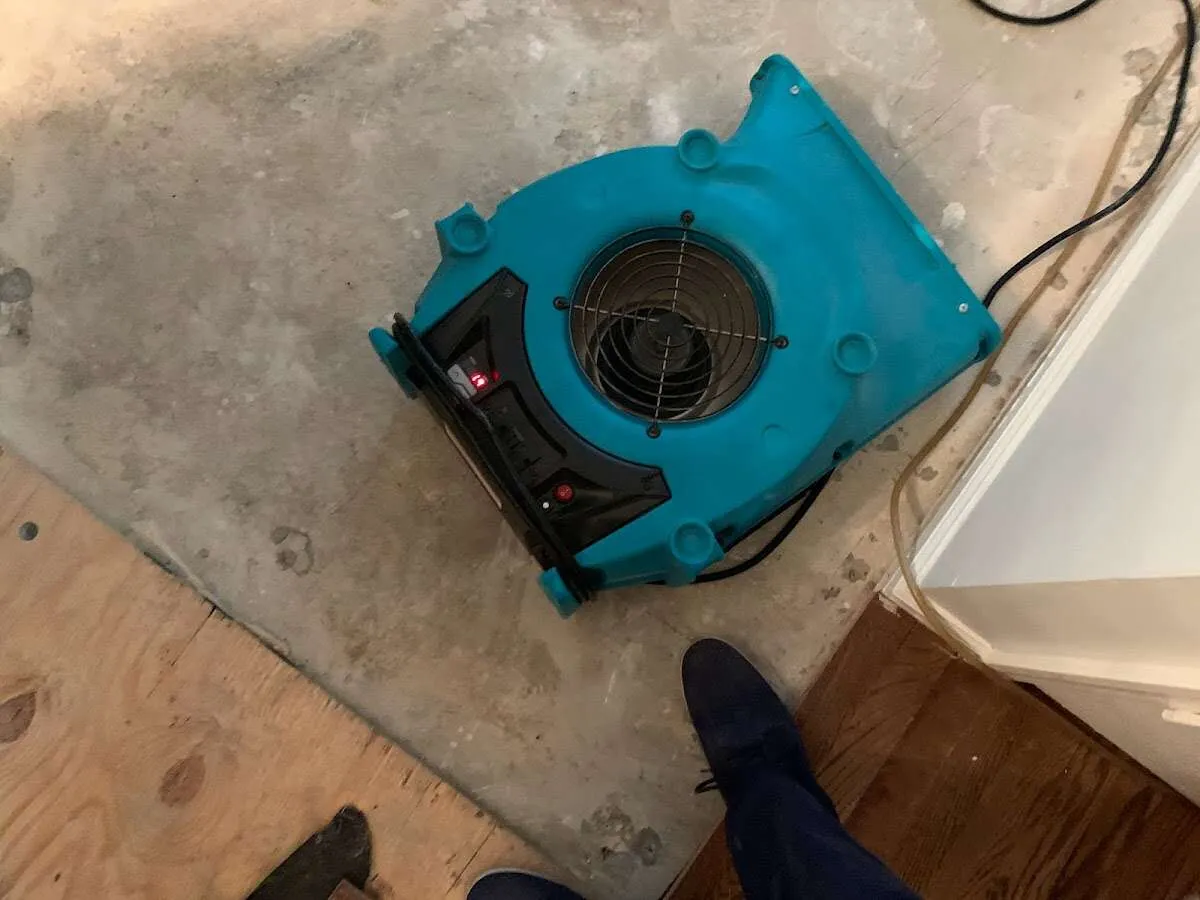 Air mover drying subfloor during Commercial Water Damage Restoration in South Kensington